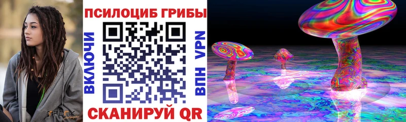 Псилоцибиновые грибы Cubensis Шадринск